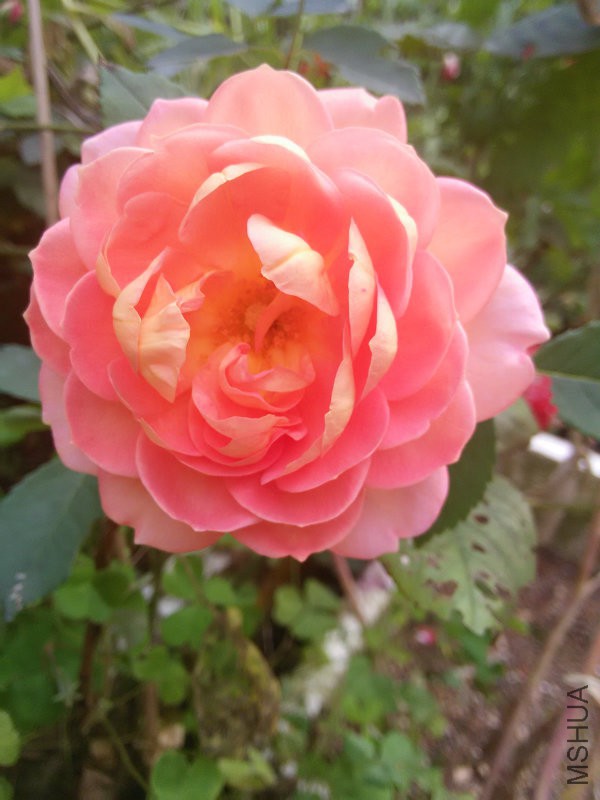 IMG20160504163738.jpg