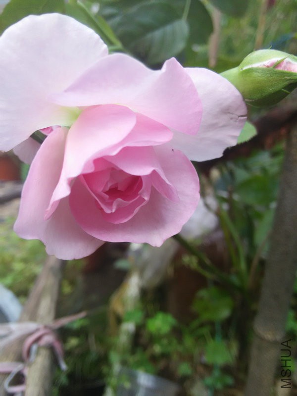 IMG20160504163008.jpg
