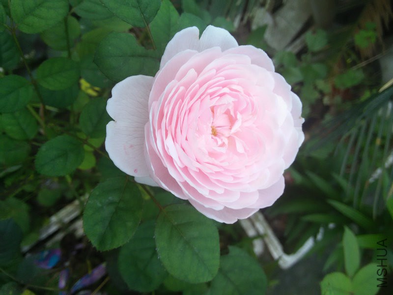 IMG20160504162610.jpg