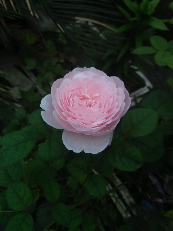 IMG20160504162618.jpg