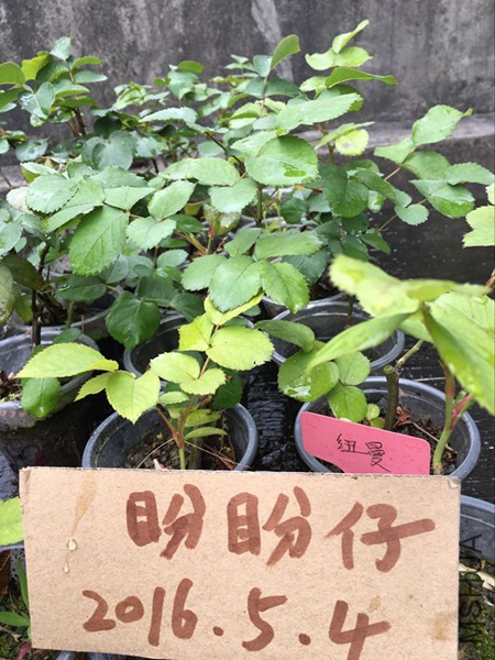 QQͼƬ20160504182341.jpg