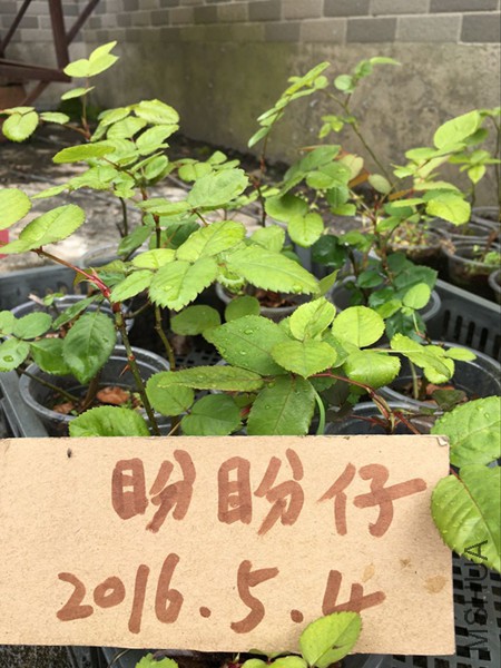 QQͼƬ20160504182351.jpg