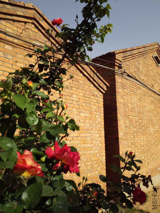IMG_20160503_155328.jpg