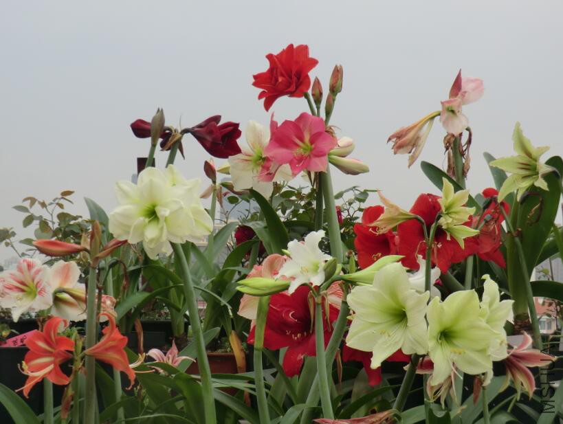 QQ��ͼ20160505103406.jpg
