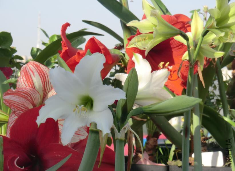 QQ��ͼ20160505101953.jpg