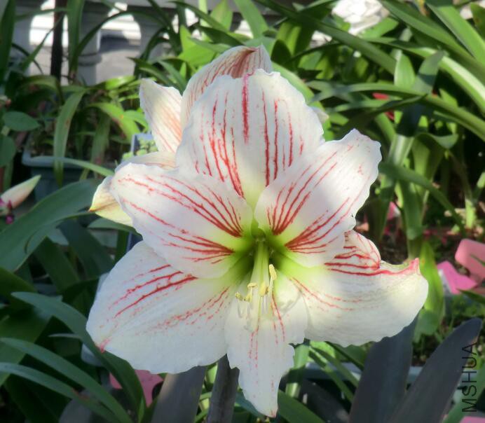 QQ��ͼ20160505102242.jpg
