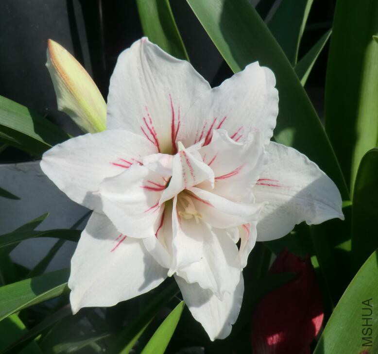 QQ��ͼ20160505102134.jpg