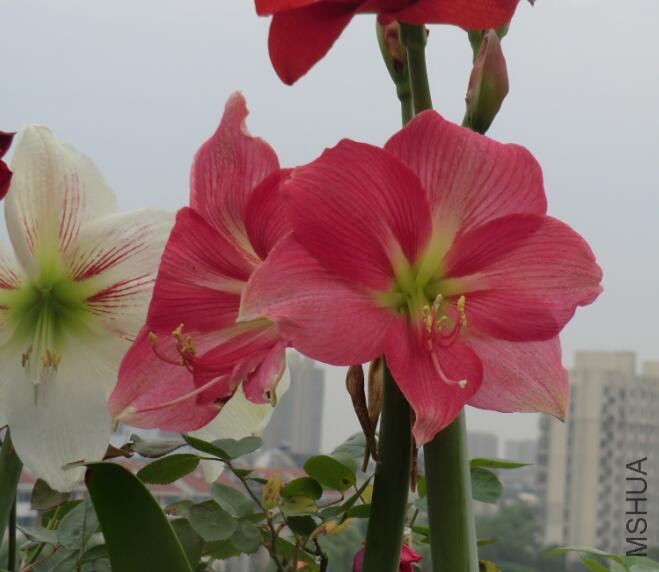 QQ��ͼ20160505102612.jpg