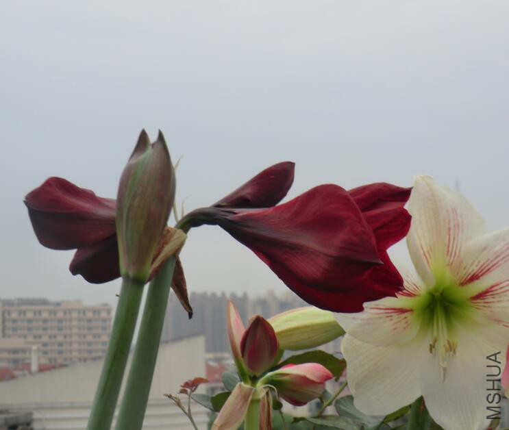 QQ��ͼ20160505102648.jpg