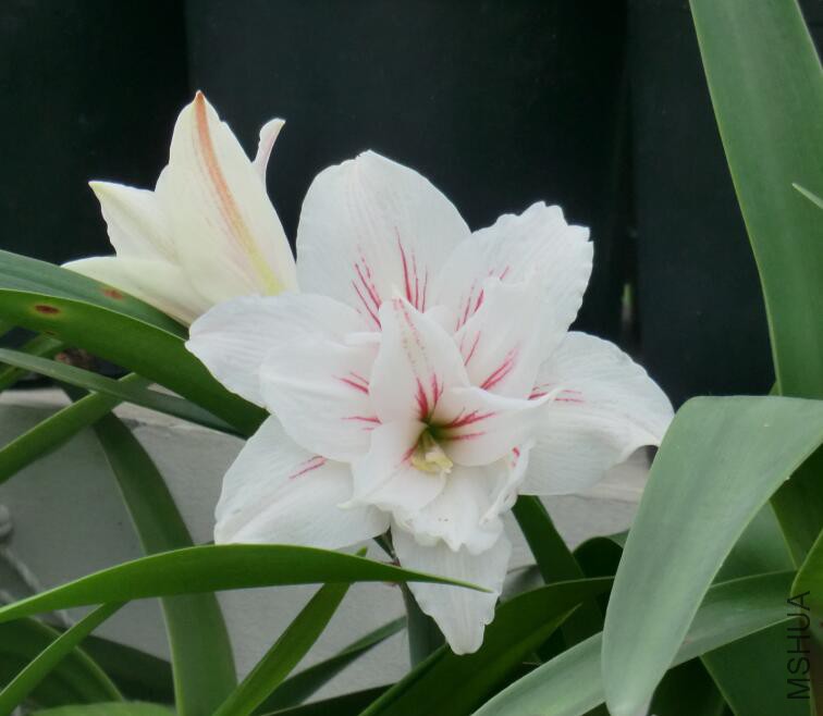 QQ��ͼ20160505103053.jpg