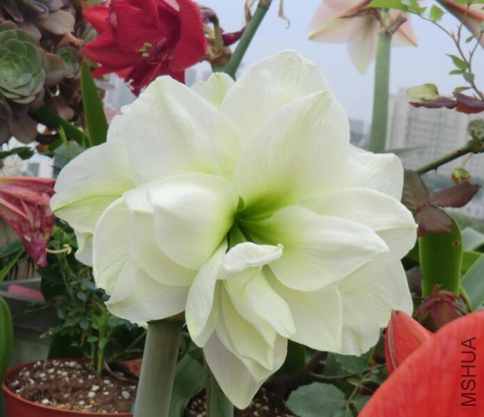 QQ��ͼ20160505103209.jpg