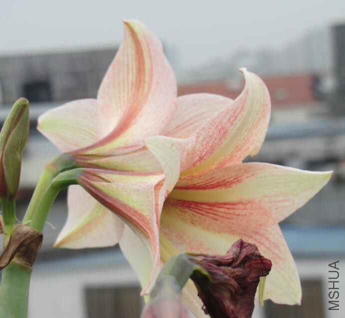QQ��ͼ20160505103224.jpg