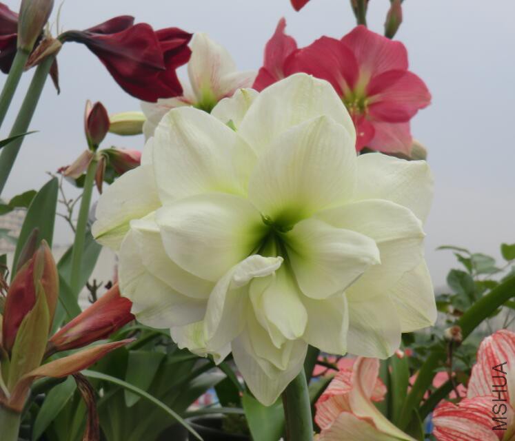 QQ��ͼ20160505103309.jpg