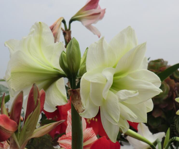 QQ��ͼ20160505103351.jpg