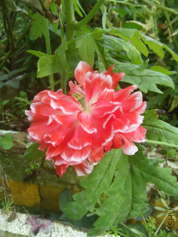 IMG20160504162354.jpg