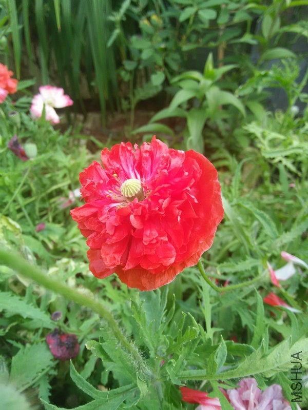 IMG20160504162403.jpg