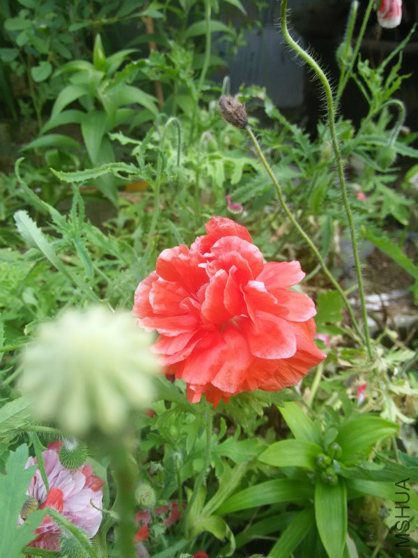 IMG20160504162408.jpg