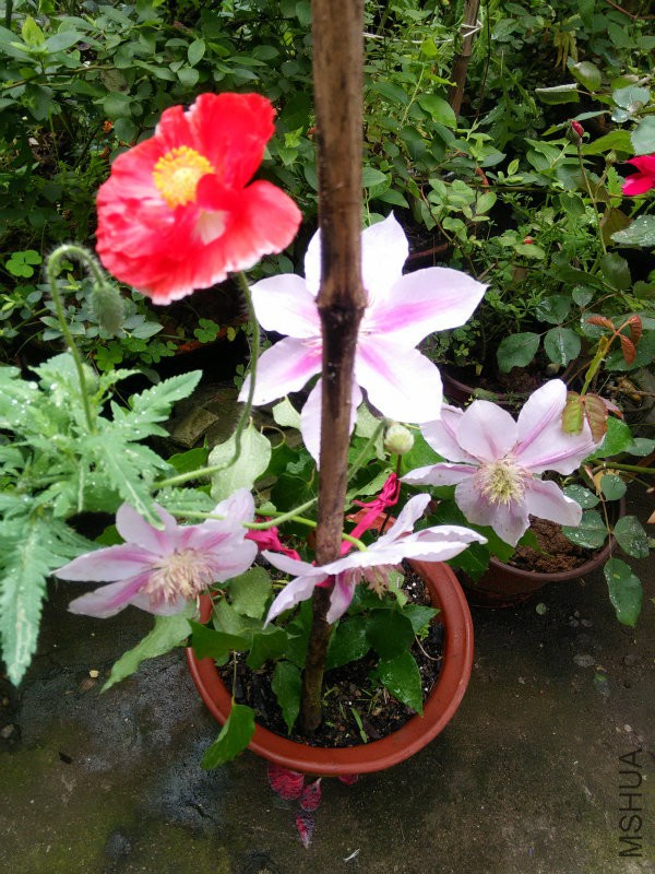 IMG20160422103915.jpg