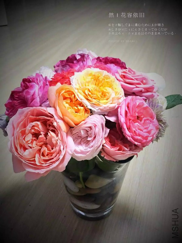psb (6).jpg
