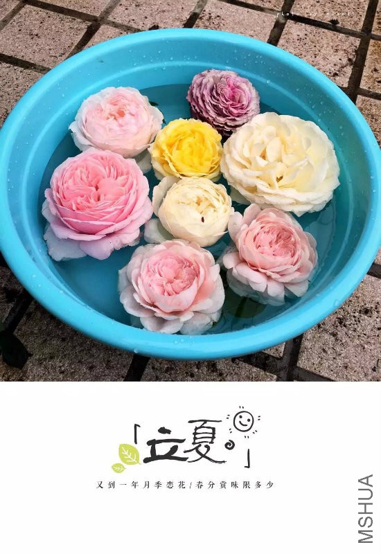 ��ƿռ���˾�������