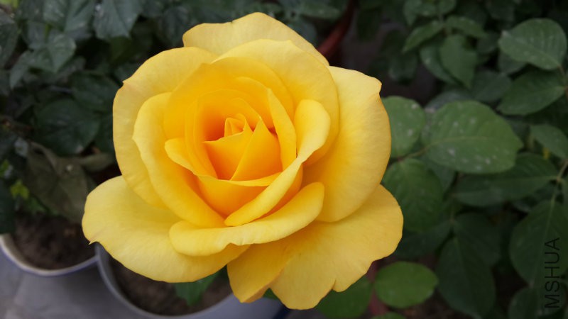 20160505_071634.jpg