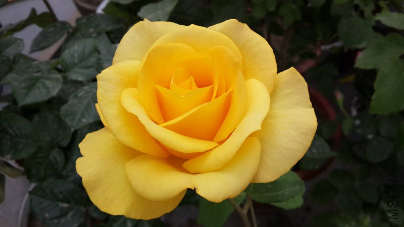 20160505_071649.jpg