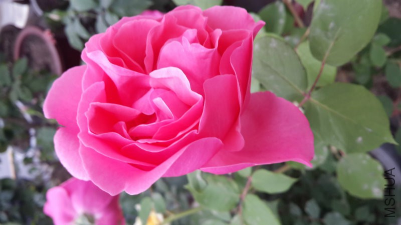 20160505_071743.jpg
