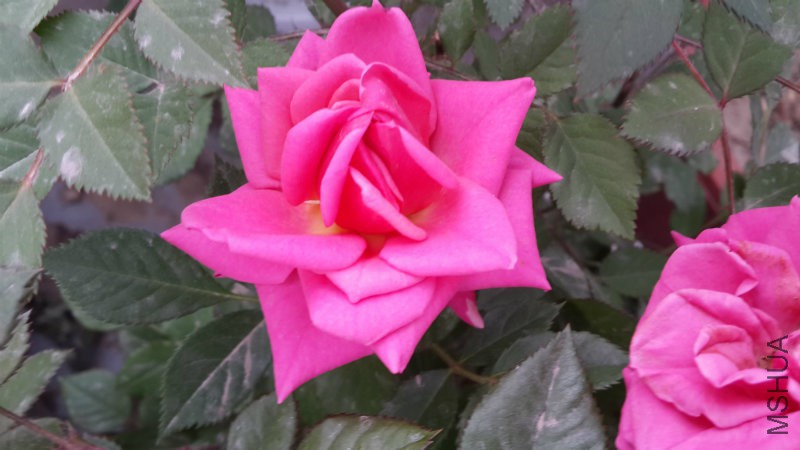 20160505_071759.jpg