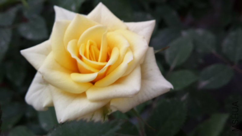 20160505_071811.jpg