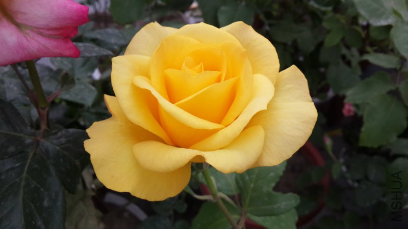 20160505_071822.jpg