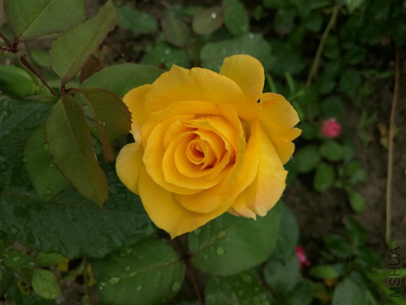 2016-05-02_13.15.54.jpg