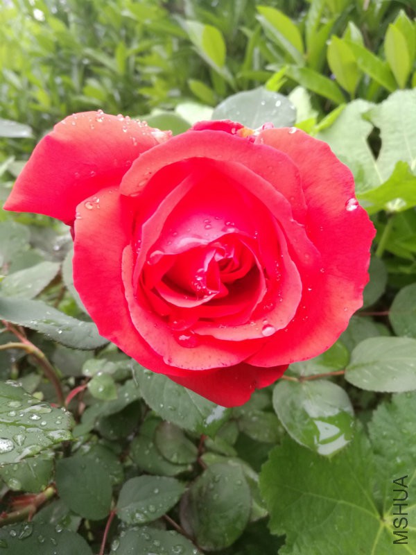 2016-04-23_17.42.14.jpg