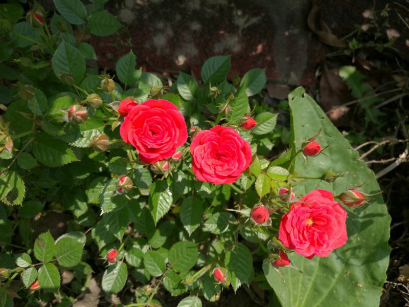 2016-04-30_11.05.44.jpg