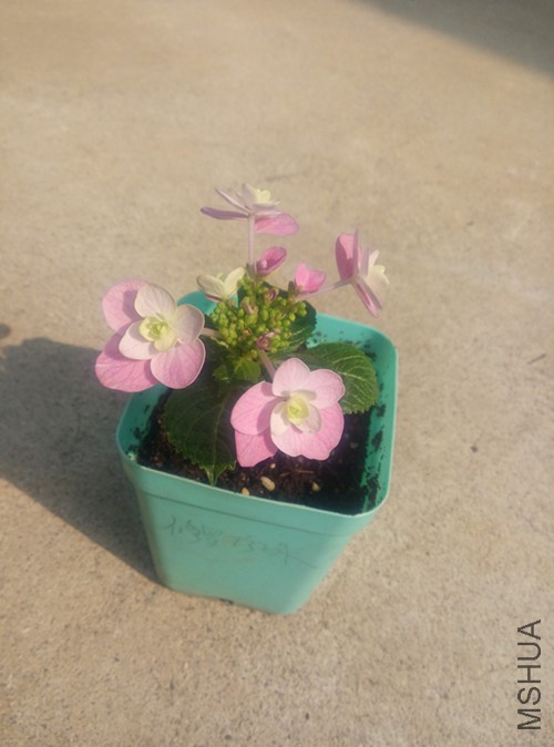 ��������С�ɣ�������������û�г����ǿ����ˡ���ȥ��10�·���ģ��о�������ϵ��ûʲô����ѽ������۸� ...