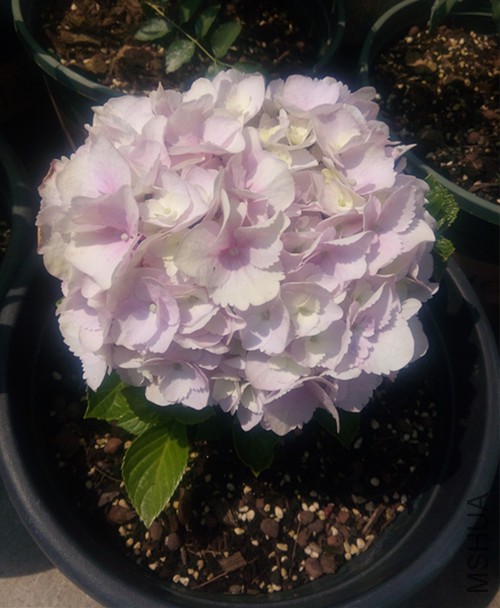 ���Ϸ�Ҳ�����Ĳ�Ҫ��Ҫ�ġ���