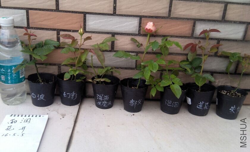 12�ײ���.jpg