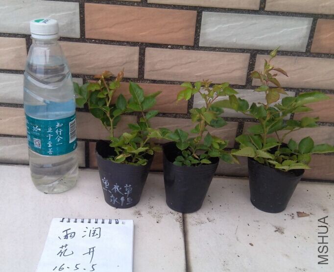29޹�²�����.jpg