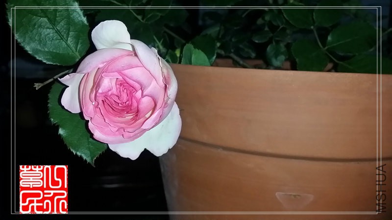 20160505_200502.jpg