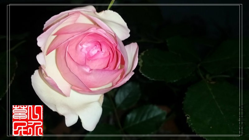 20160505_200510.jpg