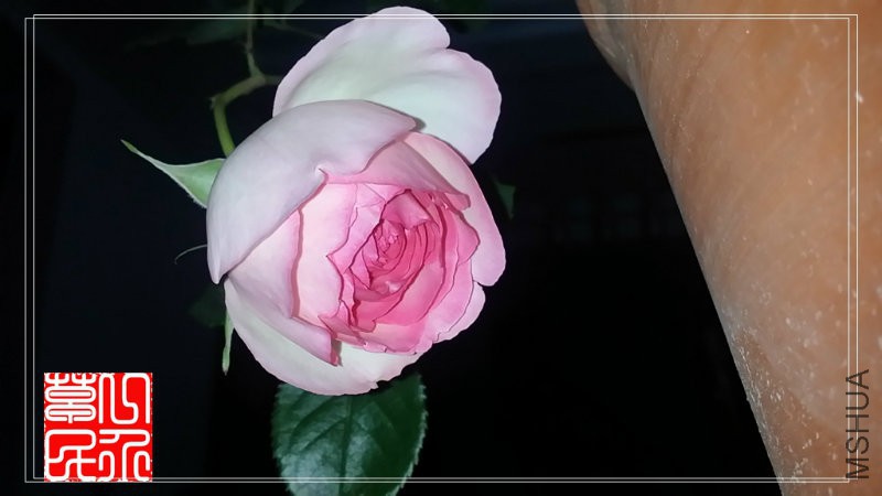 20160505_200647.jpg