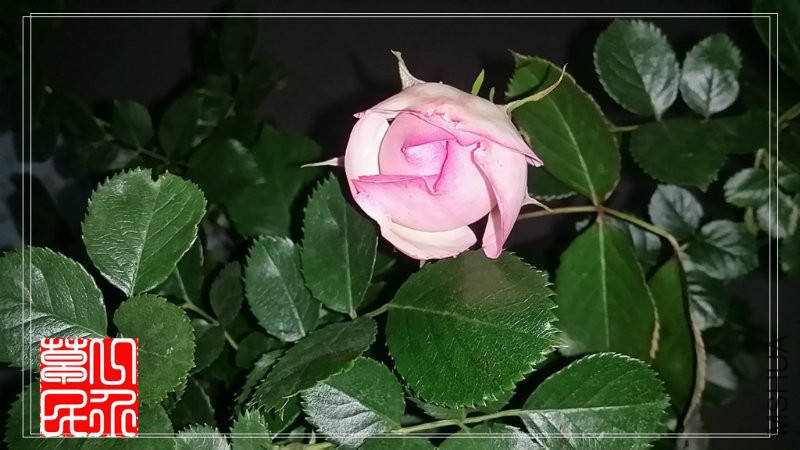 20160505_200713.jpg