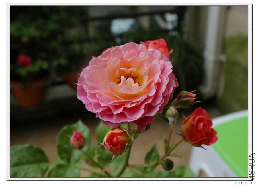 2016050503.jpg