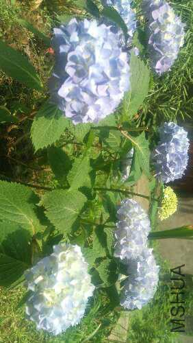 IMG_20160506_113837.jpg