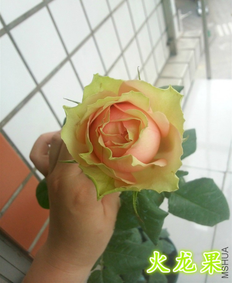 QQͼƬ20160501232030_meitu_2_meitu_14.jpg