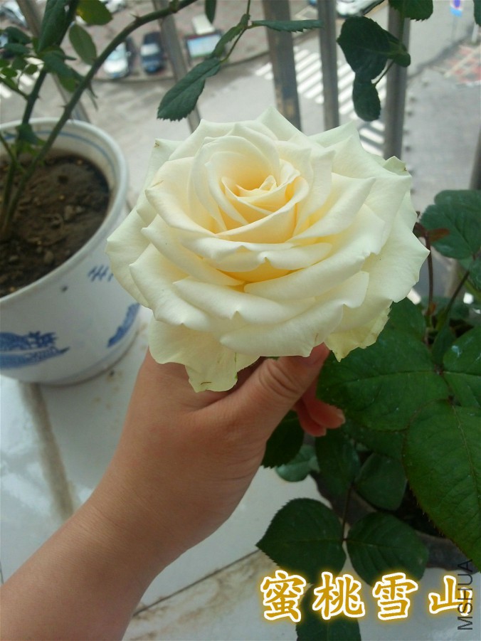 QQͼƬ20160501232044_meitu_4_meitu_15.jpg
