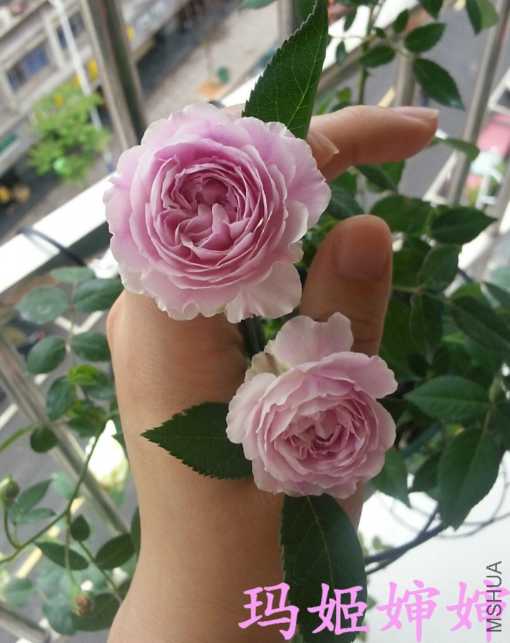 QQͼƬ20160501232054_meitu_6_meitu_17.jpg