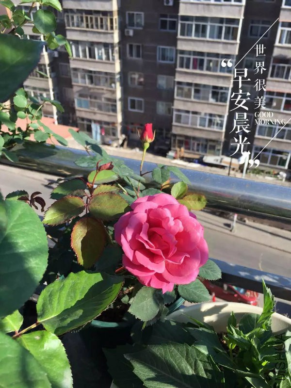 ��