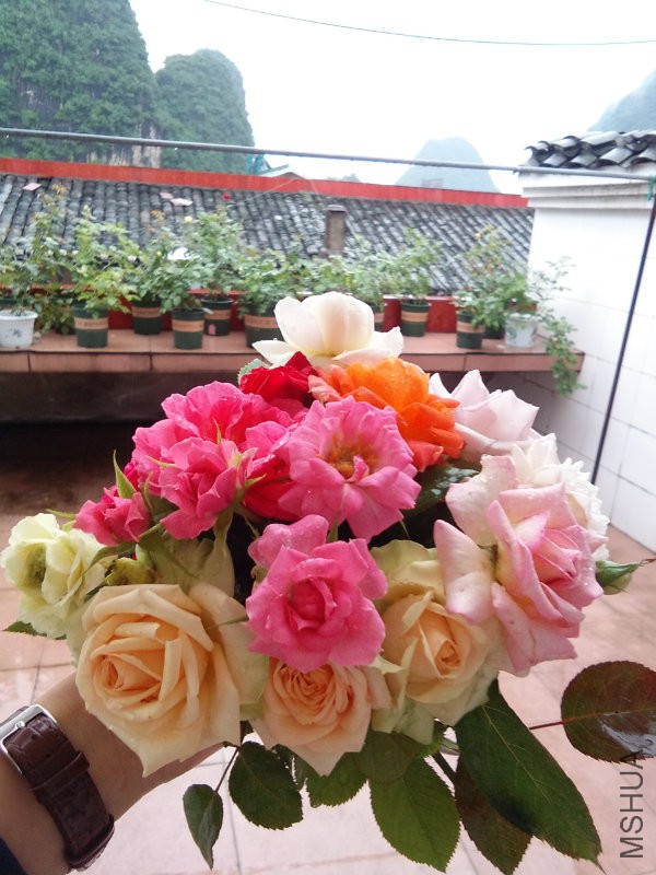 花束2.jpg