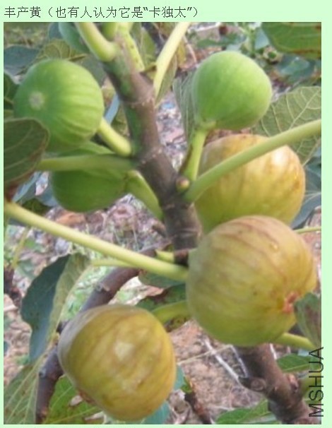 2016-05-06 17 04 10.jpg