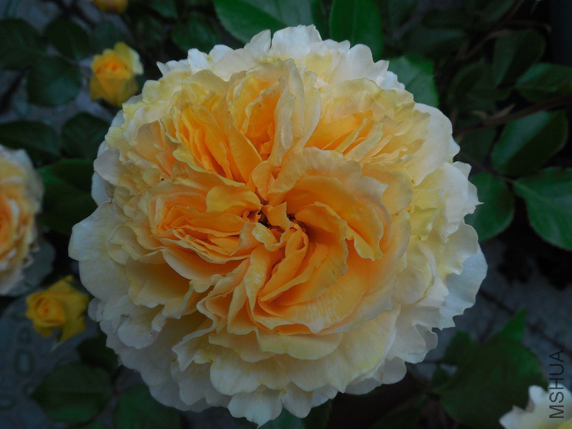 DSCN2060.JPG